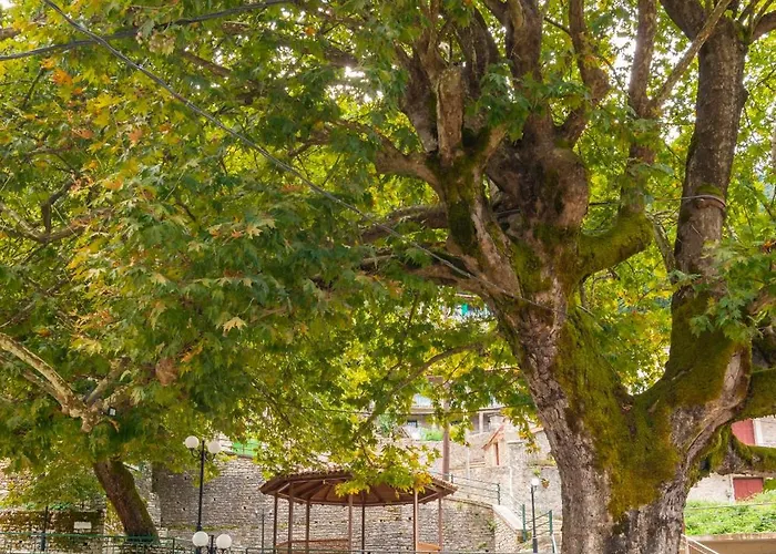 Helidona Hotel Mikro Chorio  photo