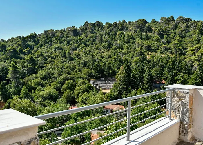 Forest View House Seta photo