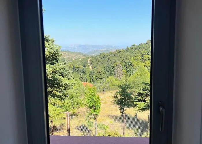 Seta Forest House foto