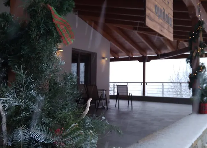Omilaia Hotel Gardiki photo